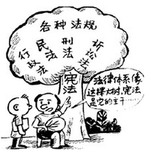 折叠传统