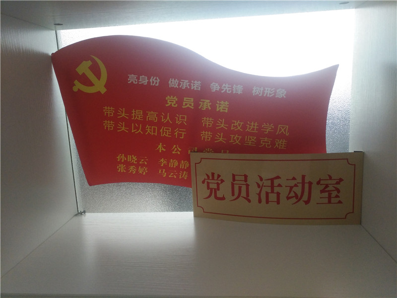 党支部亮标识