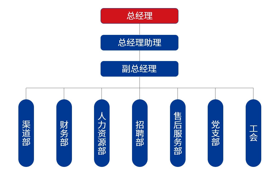 组织结构