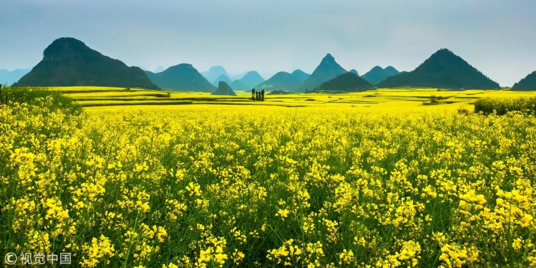 速扩散！淄博市住房公积金管理中心这一管理部办公地址有变！