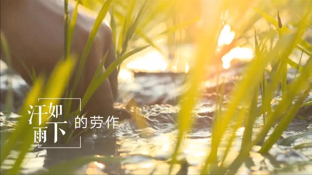 什么叫灵活就业人员？他们个人参保能享受哪些国家优惠政策？