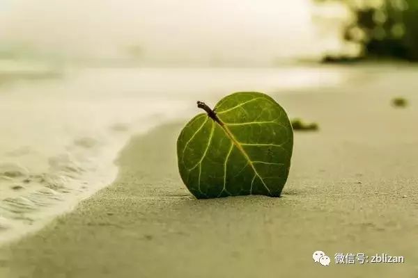 退休人员基本养老金这样调！