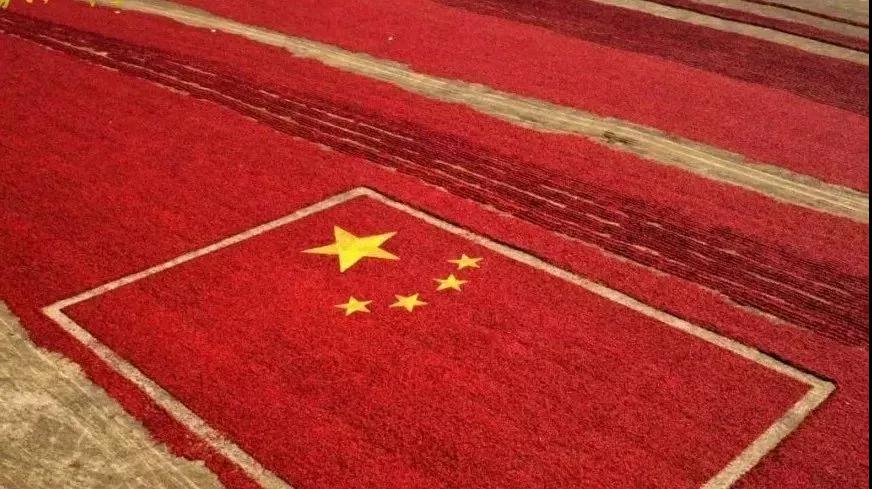 每日金句（朗读版）|习近平论构建更加普惠繁荣的网络空间